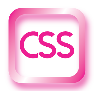 css icon